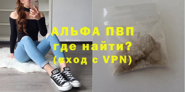 спиды Богданович