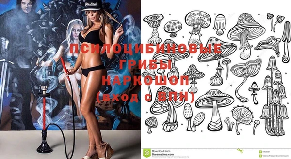 спиды Пролетарск
