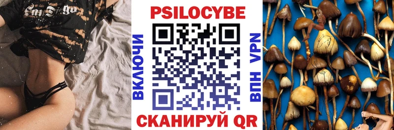 Галлюциногенные грибы MAGIC MUSHROOMS наркотики Чехов