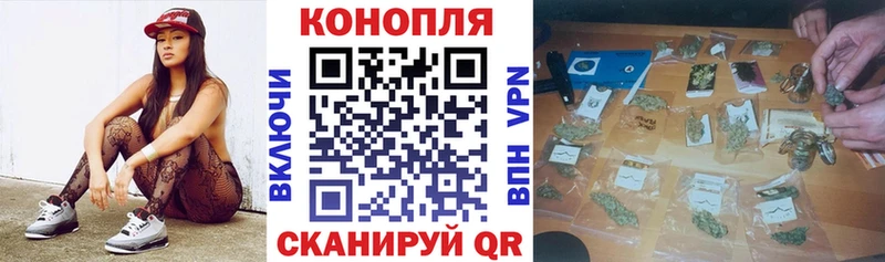 Бошки Шишки ГИДРОПОН  Чехов 